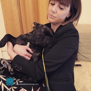 neurofeedbacktraining-neuroptimal-dog-training-sensors-13-1