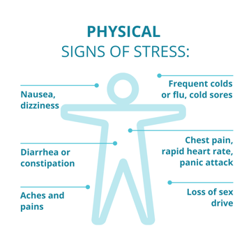 NFT-Signs-of-Stress-Physical