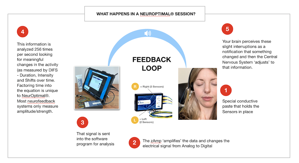 infograph-what-happens-in-a-neuroptimal-session