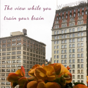 Neurofeedback NYC Training View