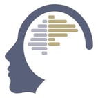 NEUROFEEDBACK SYSTEM