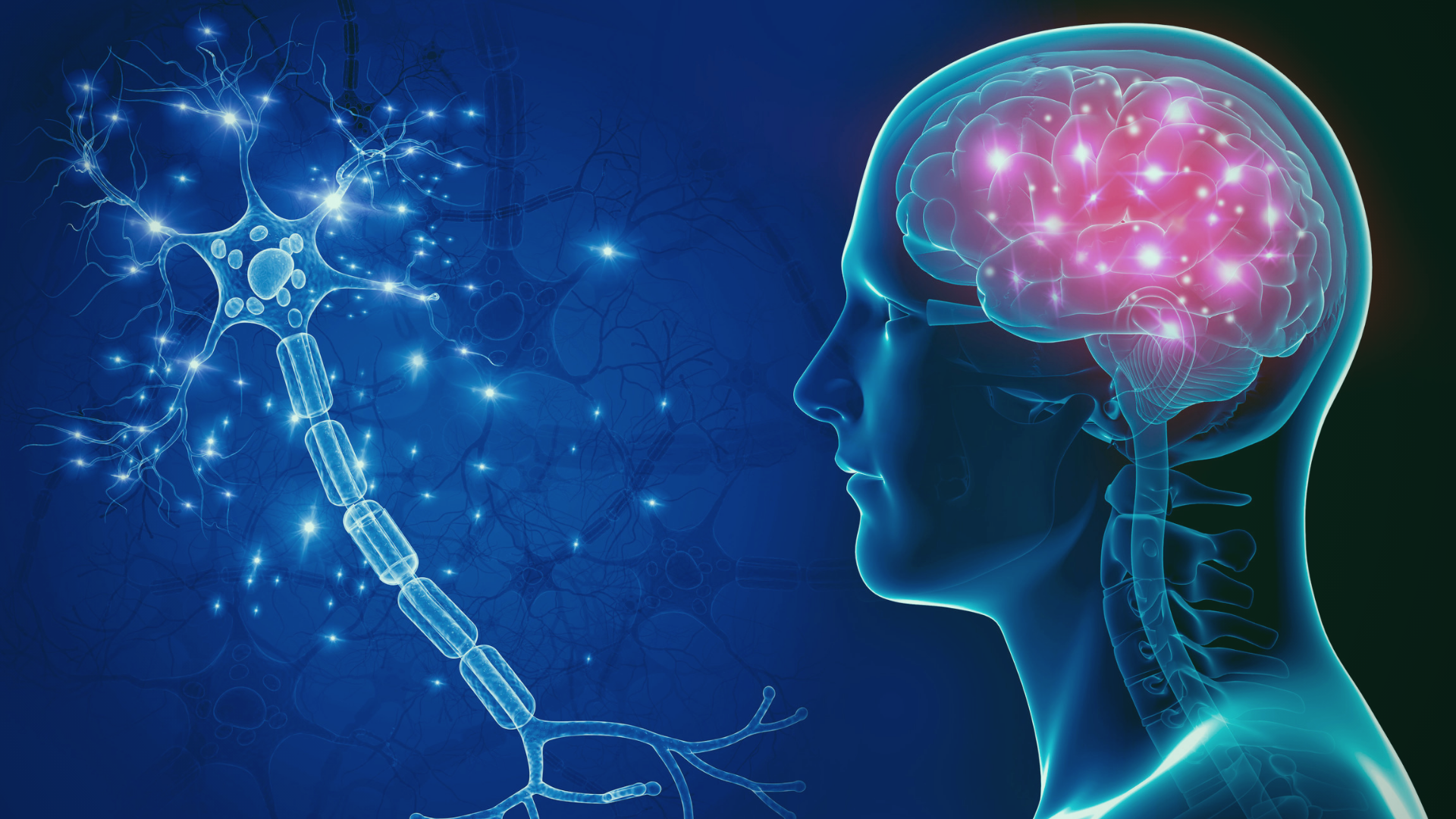 NFT-brain-health-information-page