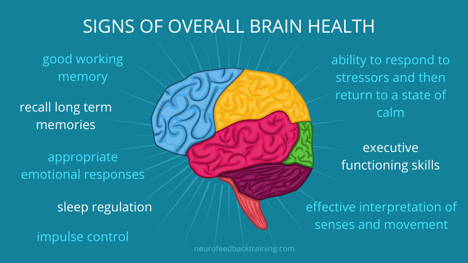 healthy brain