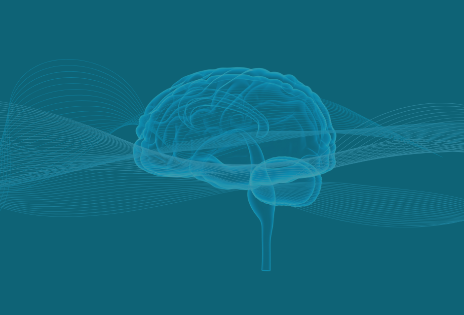 brain-and-brain-health-for-braintraining