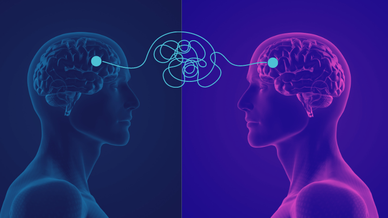 emotional-dysregulated-regulated-brain