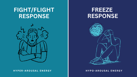 flight-fight-response-hyper-arousal-energy-and-freeze-response-hypo-arousal-energy-graphic