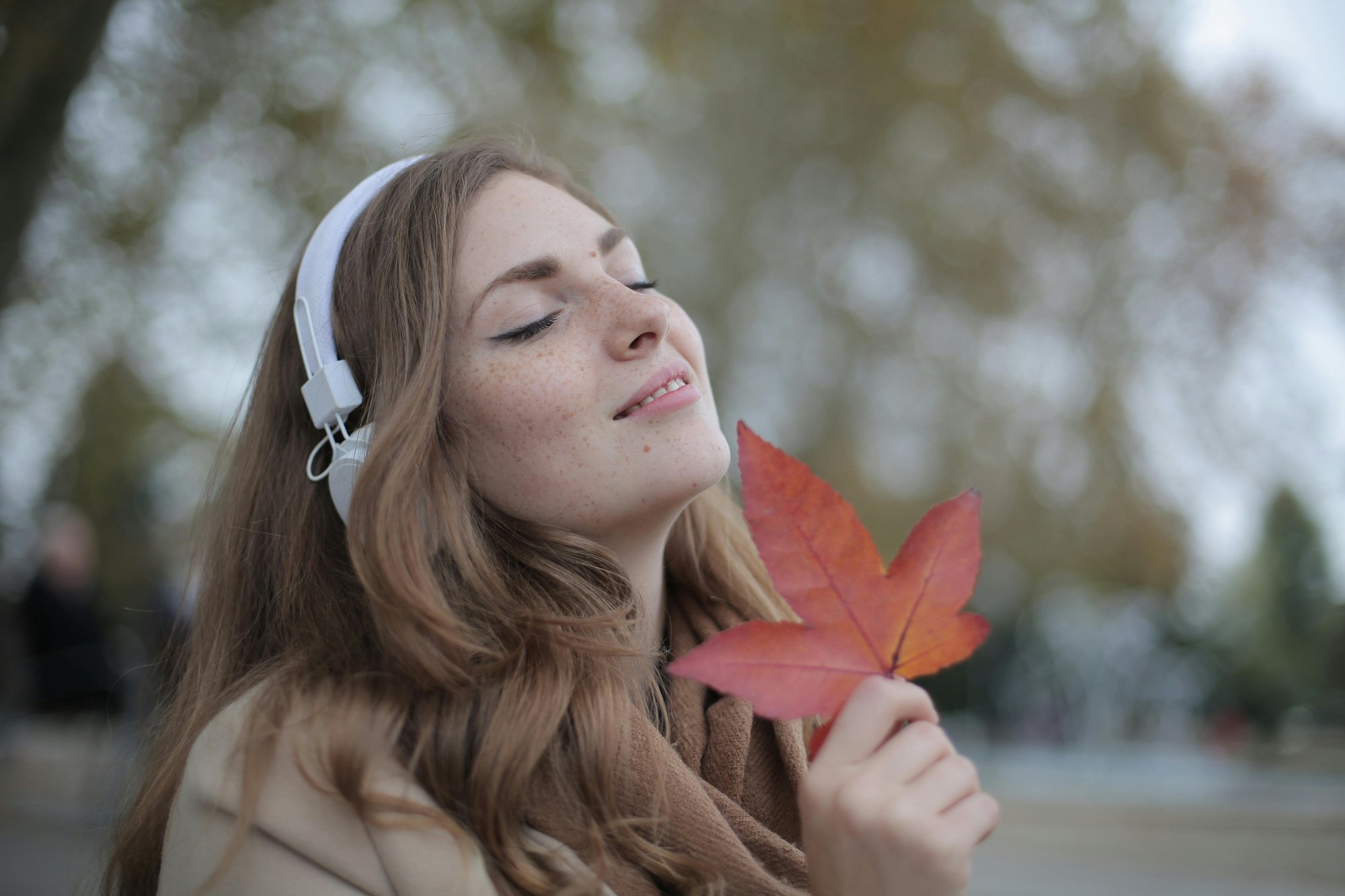 Don’t wait, schedule your free consultatin today!